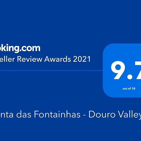 Villa Quinta Das Fontainhas - Douro Valley à Tabuaço Extérieur photo