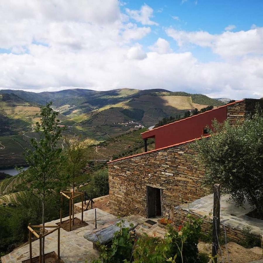 Villa Quinta Das Fontainhas - Douro Valley à Tabuaço Extérieur photo