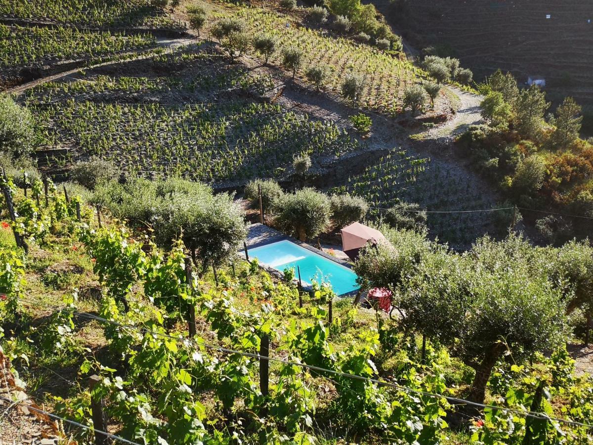 Villa Quinta Das Fontainhas - Douro Valley à Tabuaço Extérieur photo