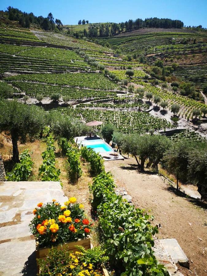 Villa Quinta Das Fontainhas - Douro Valley à Tabuaço Extérieur photo