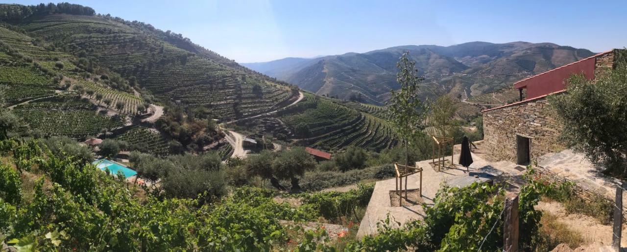 Villa Quinta Das Fontainhas - Douro Valley à Tabuaço Extérieur photo