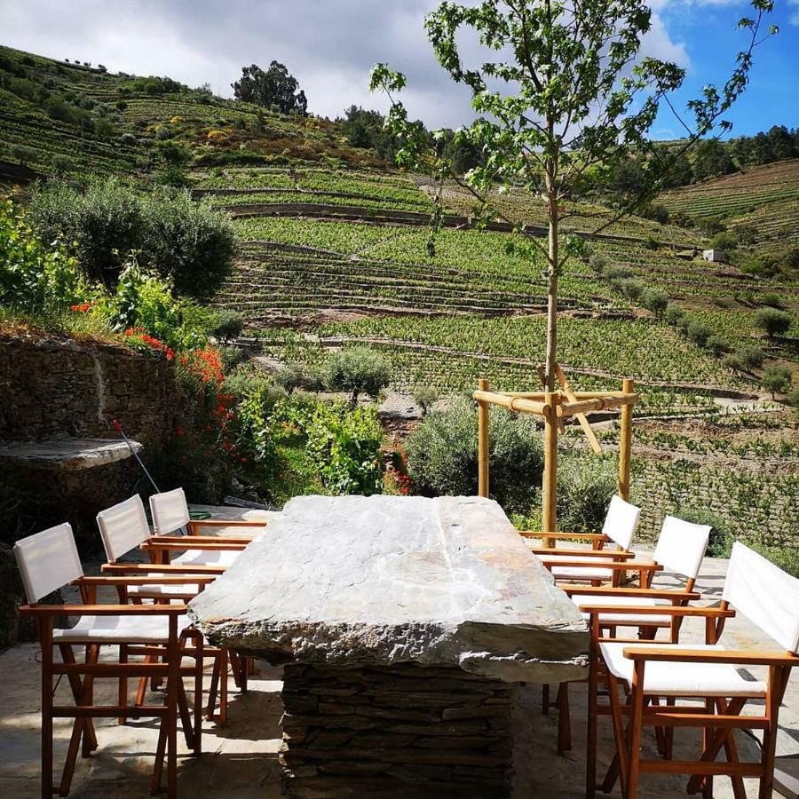 Villa Quinta Das Fontainhas - Douro Valley à Tabuaço Extérieur photo