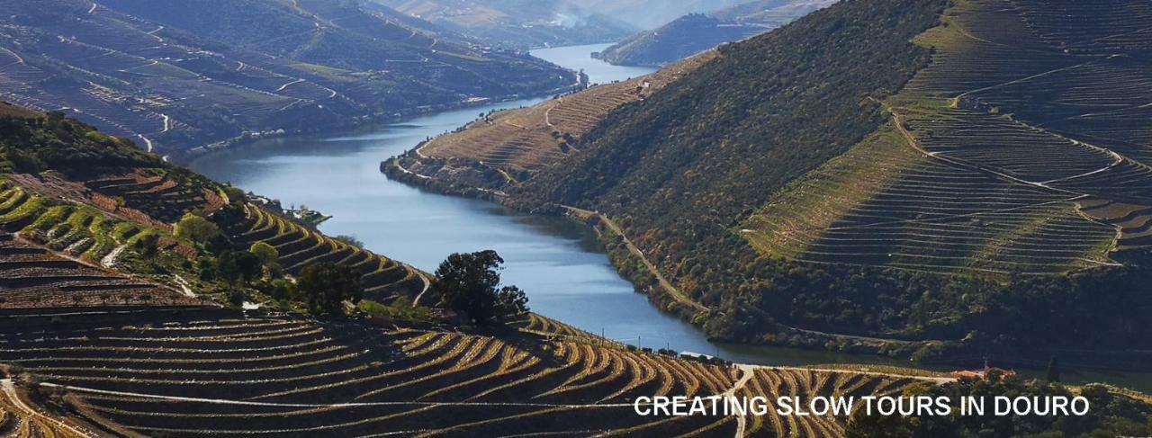 Villa Quinta Das Fontainhas - Douro Valley à Tabuaço Extérieur photo