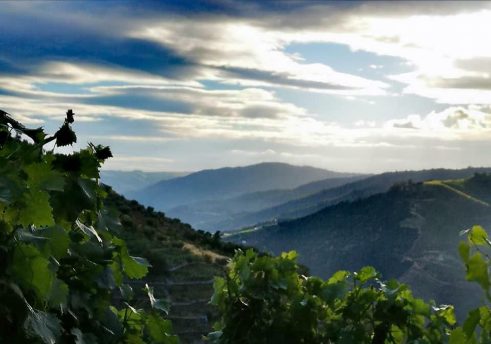 Villa Quinta Das Fontainhas - Douro Valley à Tabuaço Extérieur photo