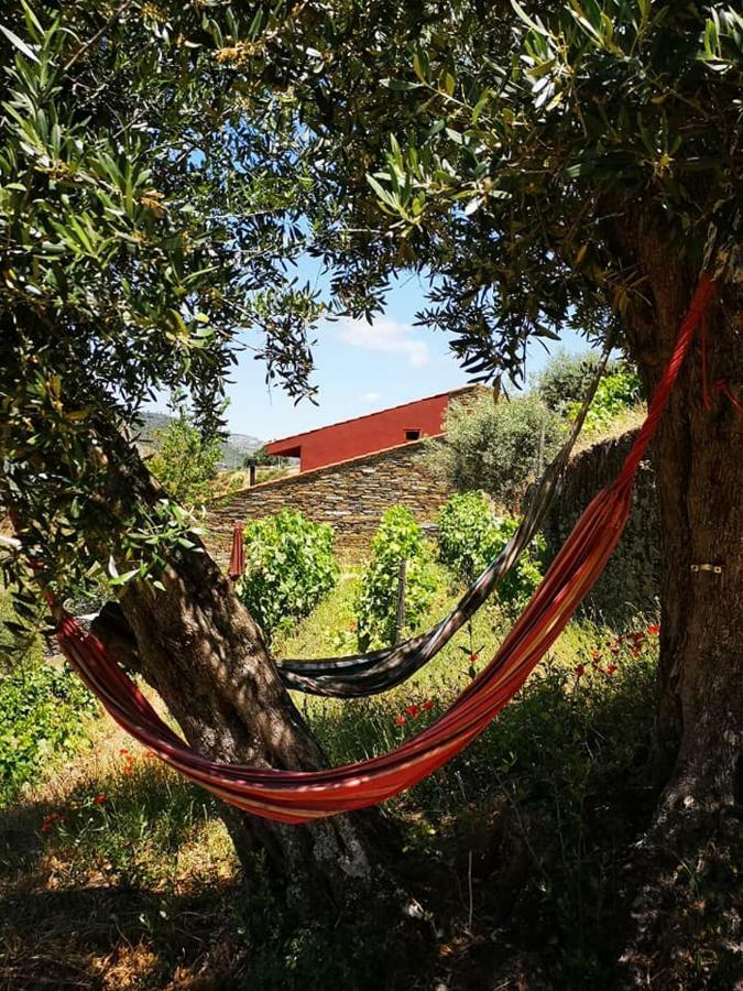 Villa Quinta Das Fontainhas - Douro Valley à Tabuaço Extérieur photo