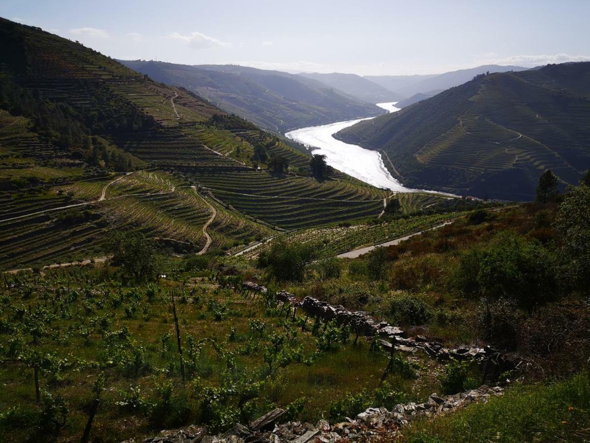 Villa Quinta Das Fontainhas - Douro Valley à Tabuaço Extérieur photo