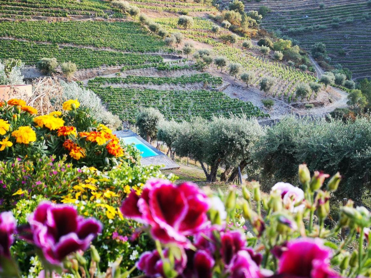 Villa Quinta Das Fontainhas - Douro Valley à Tabuaço Extérieur photo