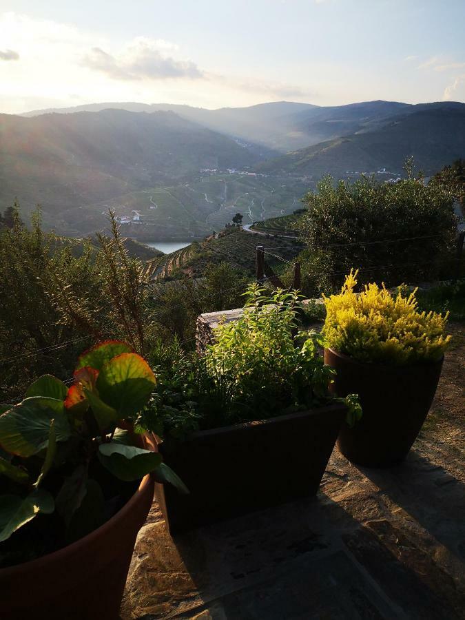 Villa Quinta Das Fontainhas - Douro Valley à Tabuaço Extérieur photo