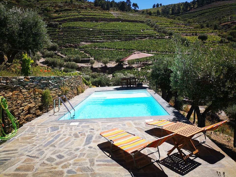 Villa Quinta Das Fontainhas - Douro Valley à Tabuaço Extérieur photo